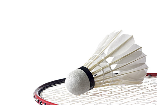 赢得了一场 赢得了一场